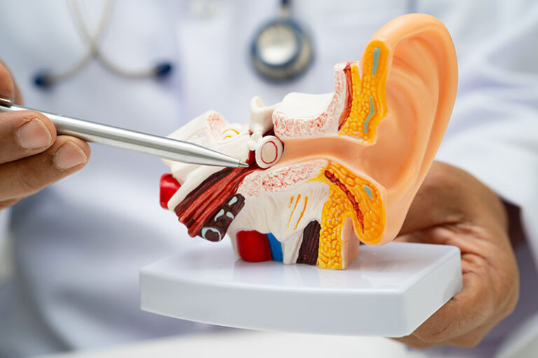 Ear Surgery Services